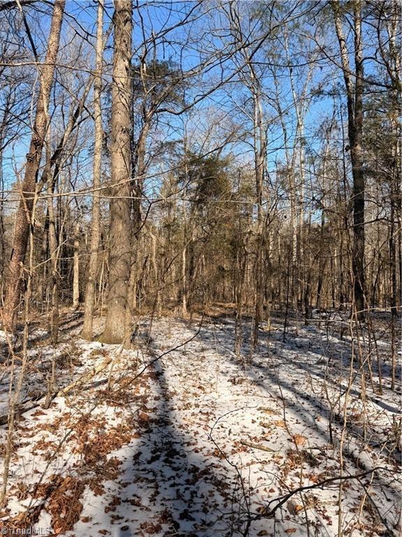 0 Stokes Ferry Road Gold Hill, NC 28071 - Photo 3 of 4