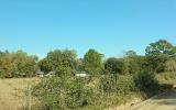 0 Weldon Rd/williams Avenue Yulee, FL 32097 - Photo 12 of 15 a view of a yard with a tree