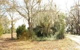 0 Weldon Rd/williams Avenue Yulee, FL 32097 - Photo 3 of 15 a view of a yard with trees