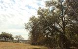 0 Weldon Rd/williams Avenue Yulee, FL 32097 - Photo 8 of 15 a view of city and trees