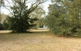0 Weldon Rd/williams Avenue Yulee, FL 32097 - Photo 10 of 15 a view of a yard with trees