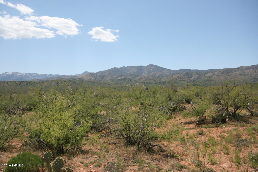81483 East Goldbug Road Oracle, AZ 85623 - Photo 9 of 12