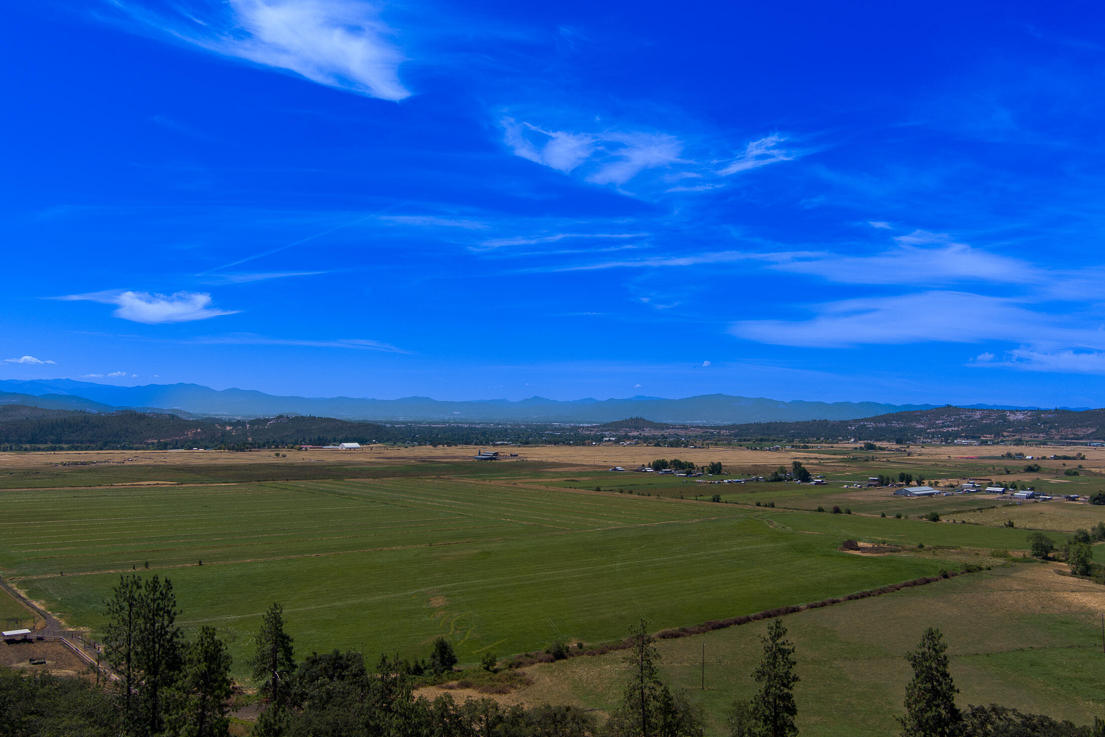 1881 Brophy Road Eagle Point, OR 97524 - Photo 8 of 130 003