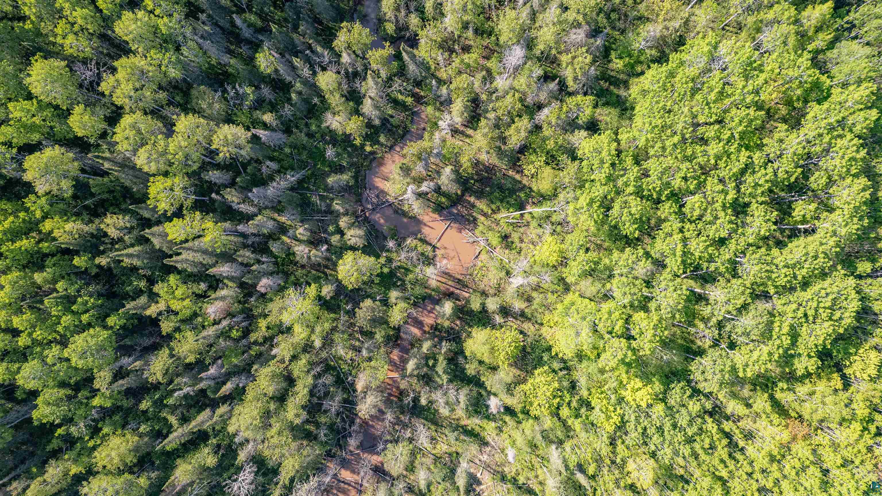 3679 22nd Road South Range, WI 54874 - Photo 11 of 48
