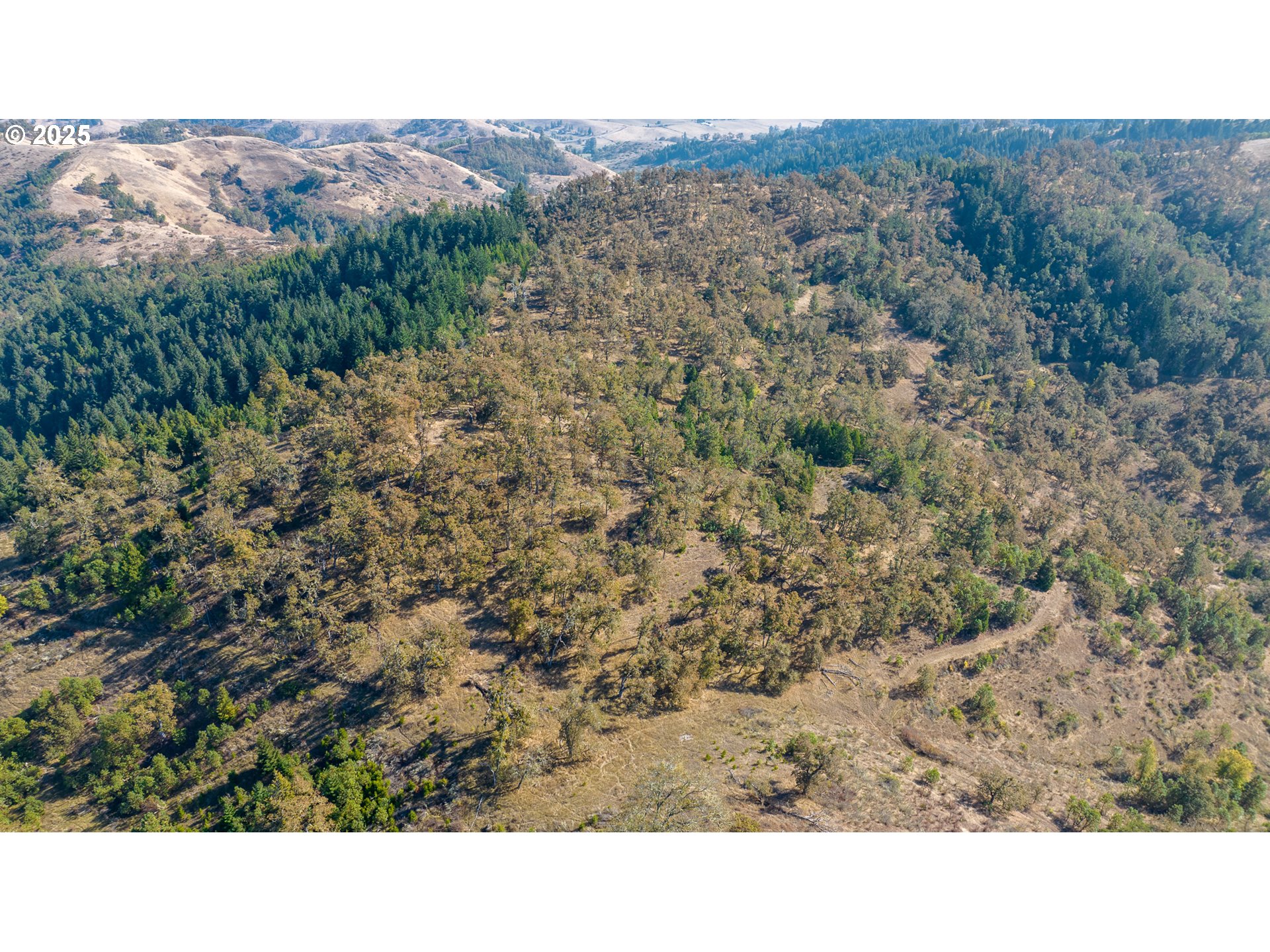 0 Buckhorn Road Roseburg, OR 97470 - Photo 13 of 34