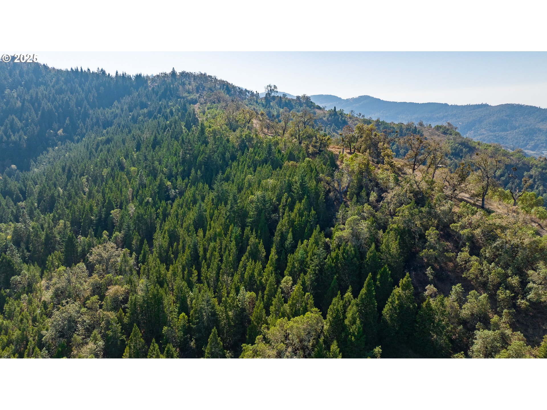 0 Buckhorn Road Roseburg, OR 97470 - Photo 15 of 34