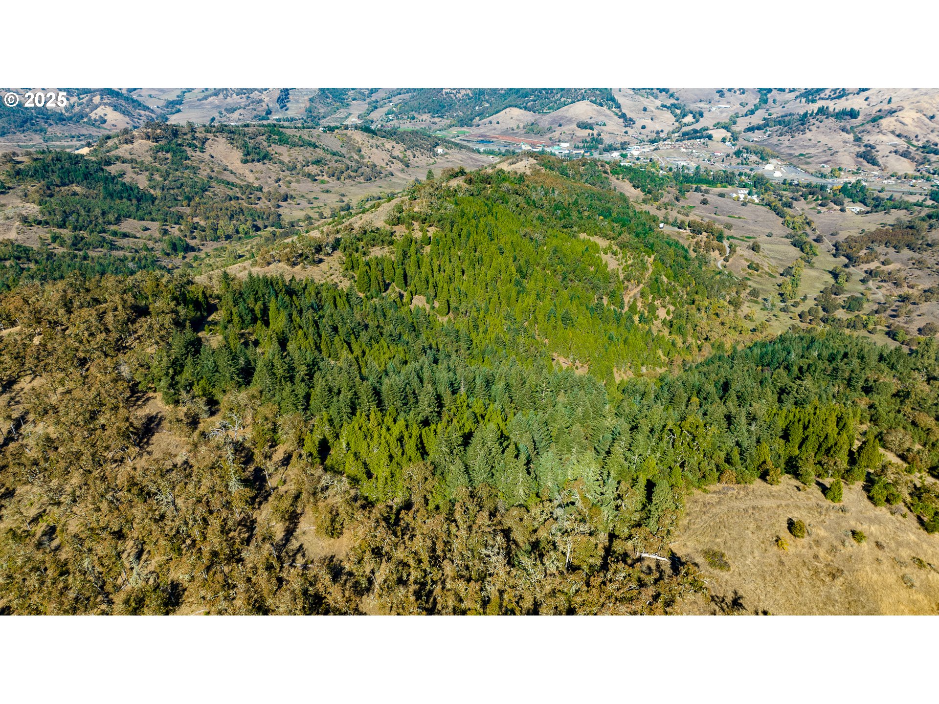 0 Buckhorn Road Roseburg, OR 97470 - Photo 2 of 34