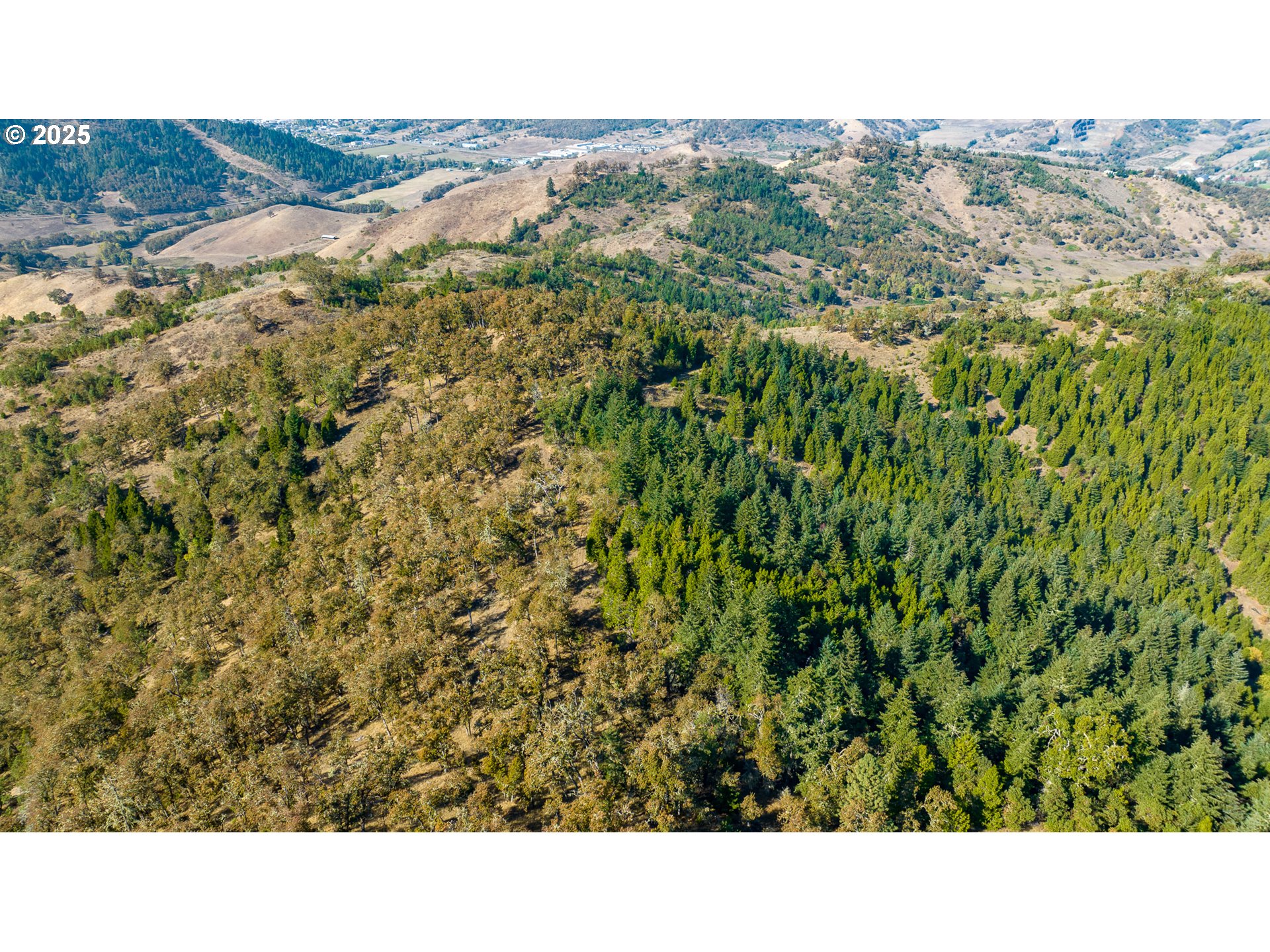 0 Buckhorn Road Roseburg, OR 97470 - Photo 3 of 34