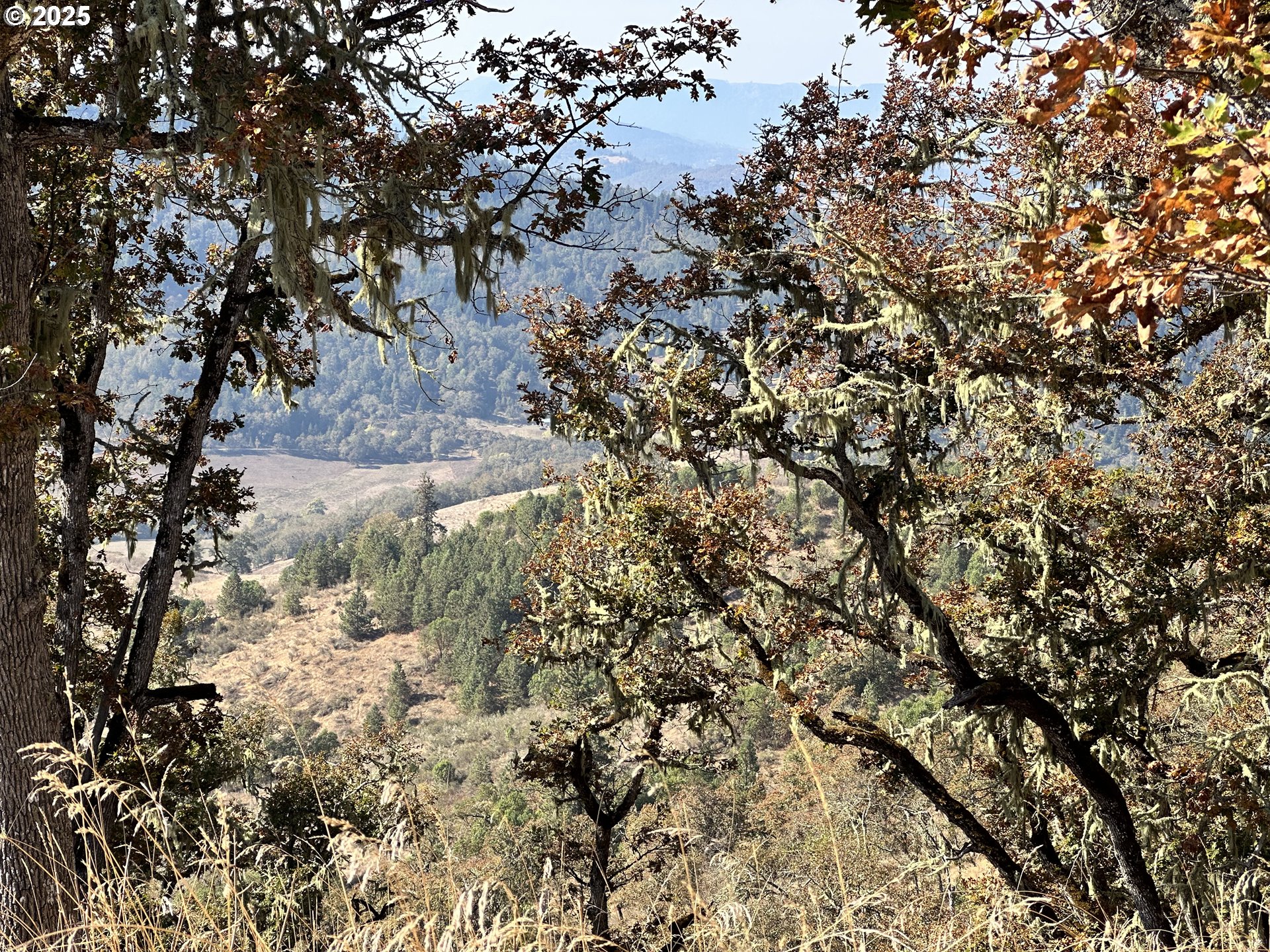 0 Buckhorn Road Roseburg, OR 97470 - Photo 32 of 34