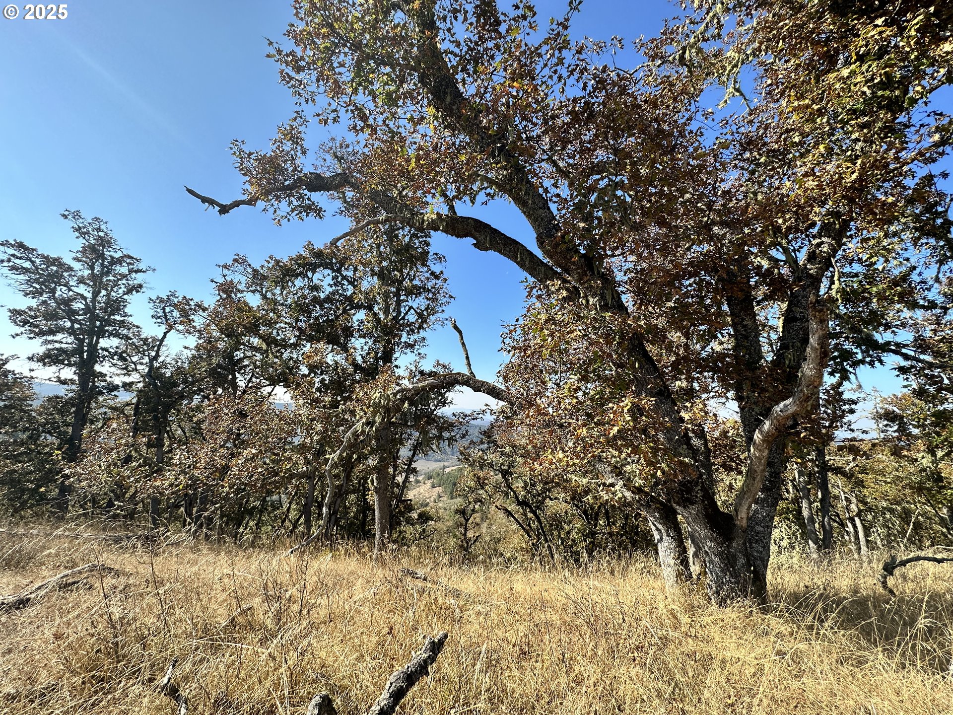 0 Buckhorn Road Roseburg, OR 97470 - Photo 33 of 34