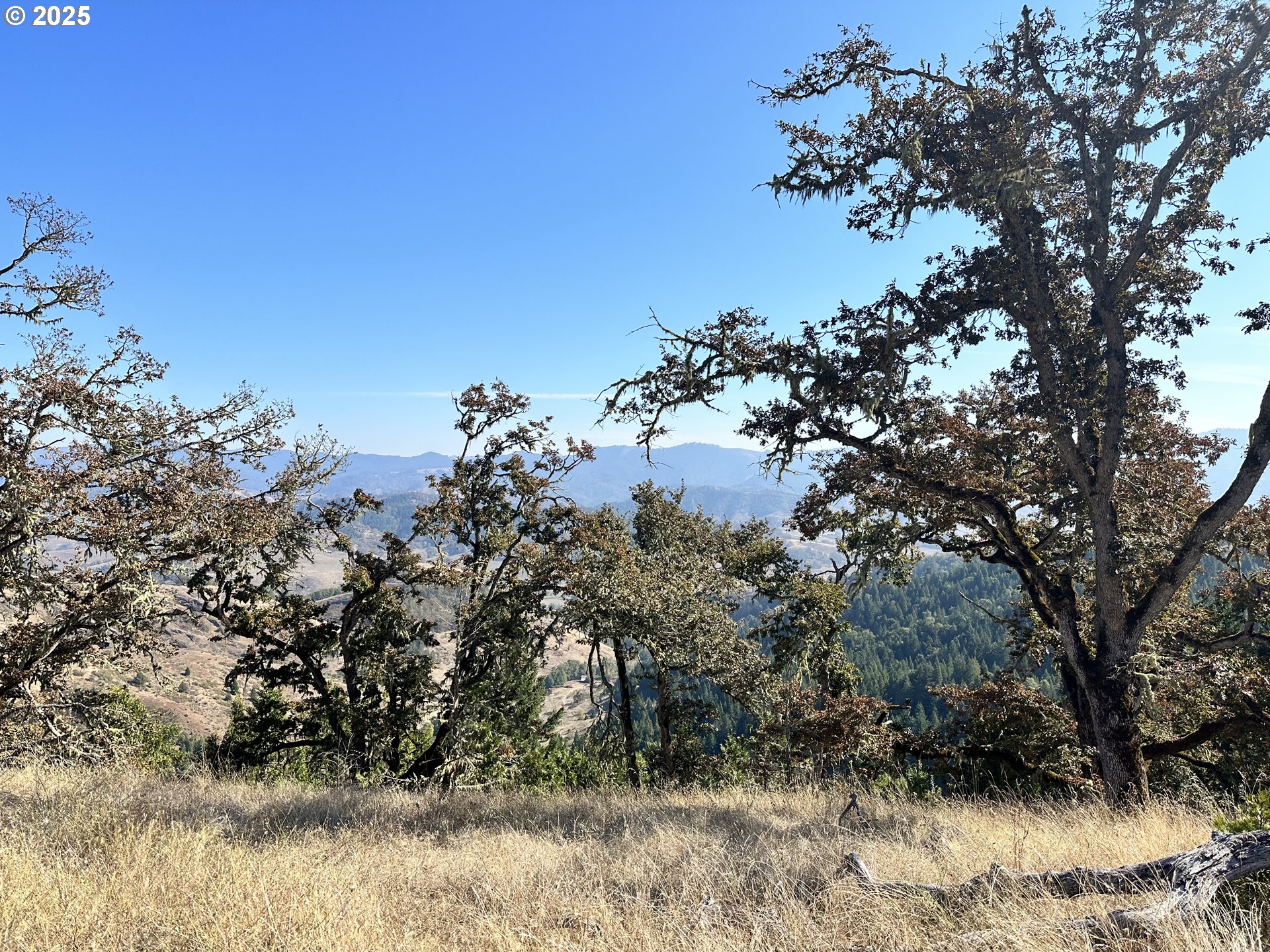 0 Buckhorn Road Roseburg, OR 97470 - Photo 34 of 34
