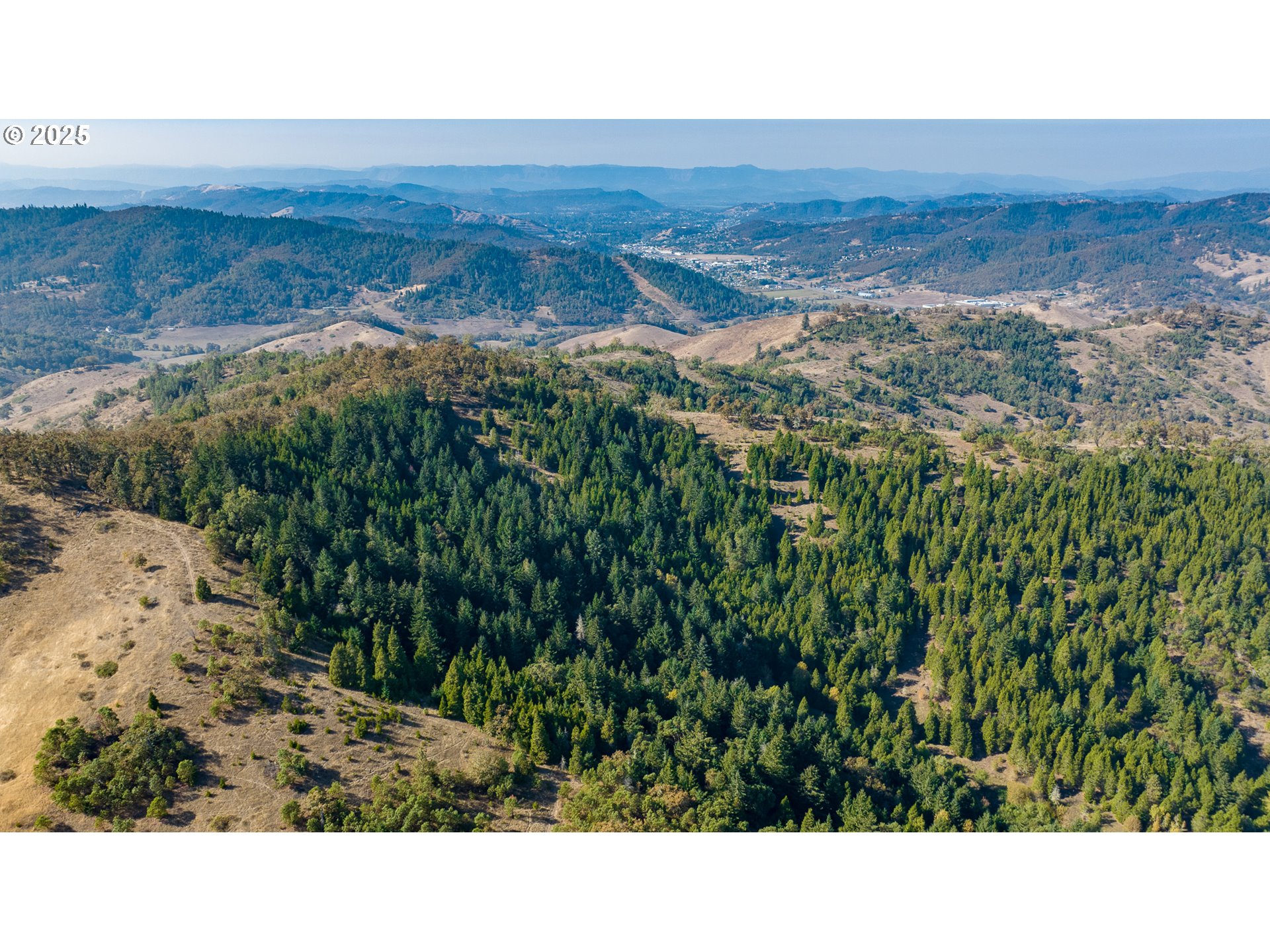 0 Buckhorn Road Roseburg, OR 97470 - Photo 6 of 34