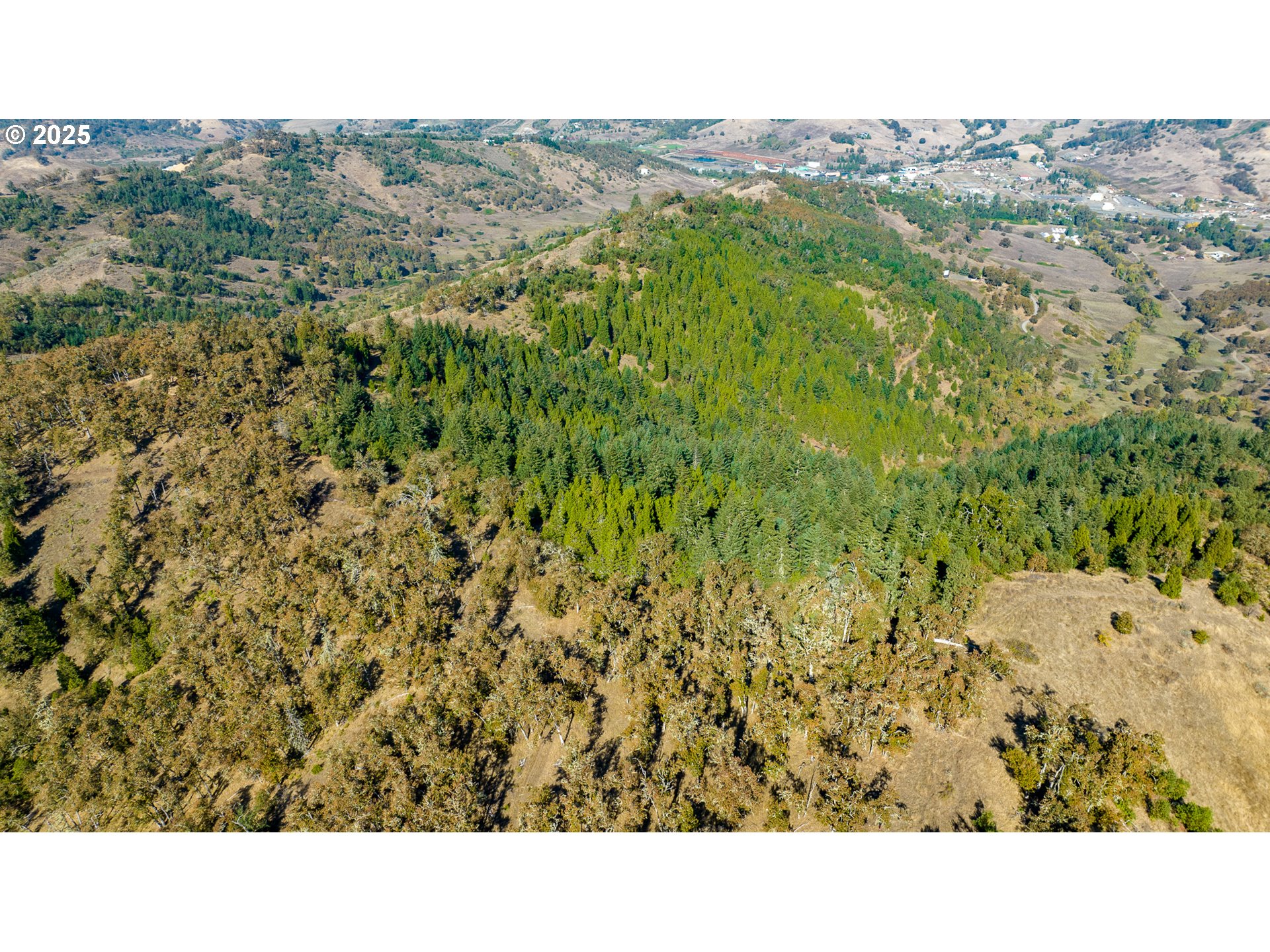 0 Buckhorn Road Roseburg, OR 97470 - Photo 7 of 34