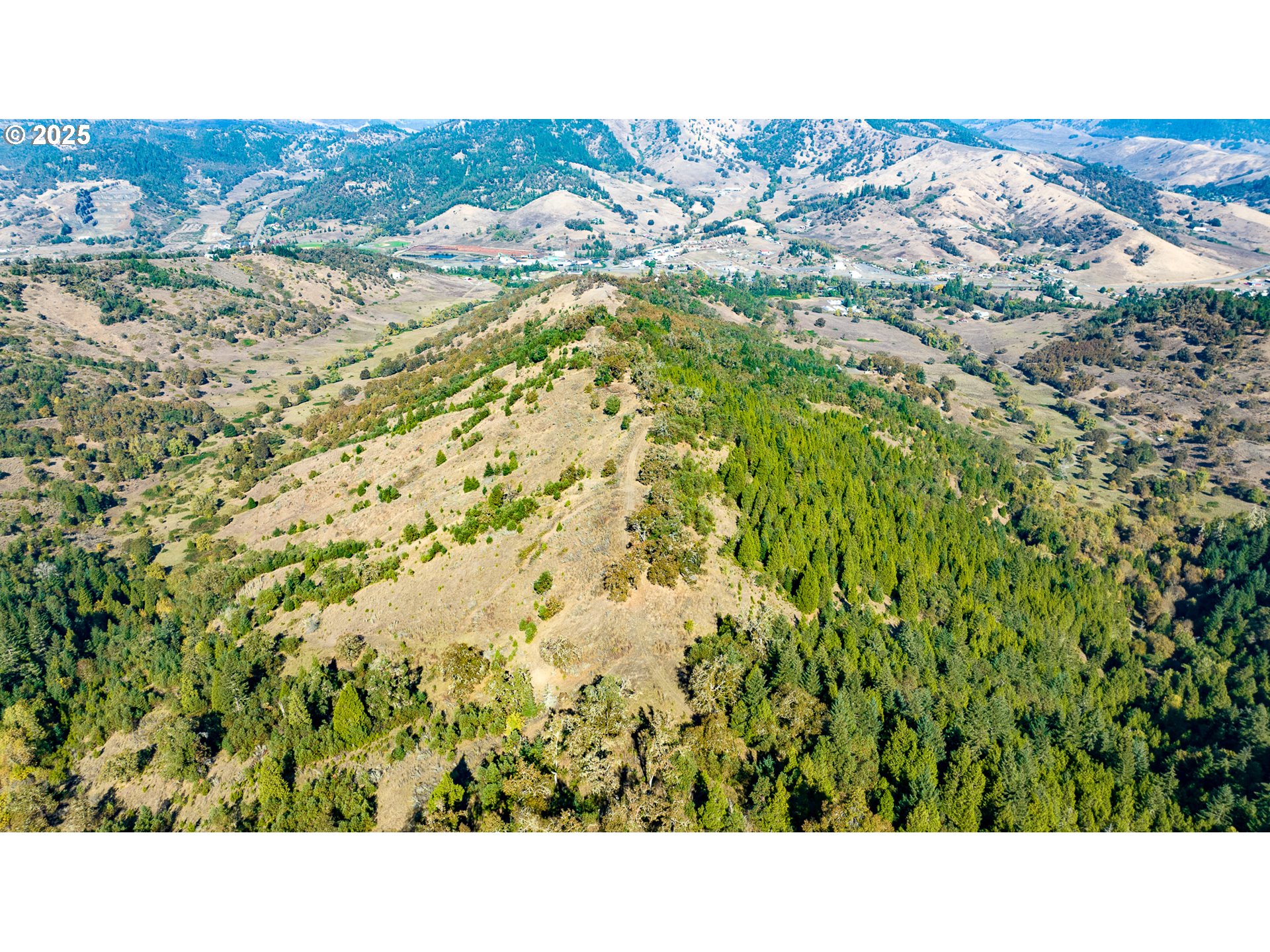 0 Buckhorn Road Roseburg, OR 97470 - Photo 8 of 34