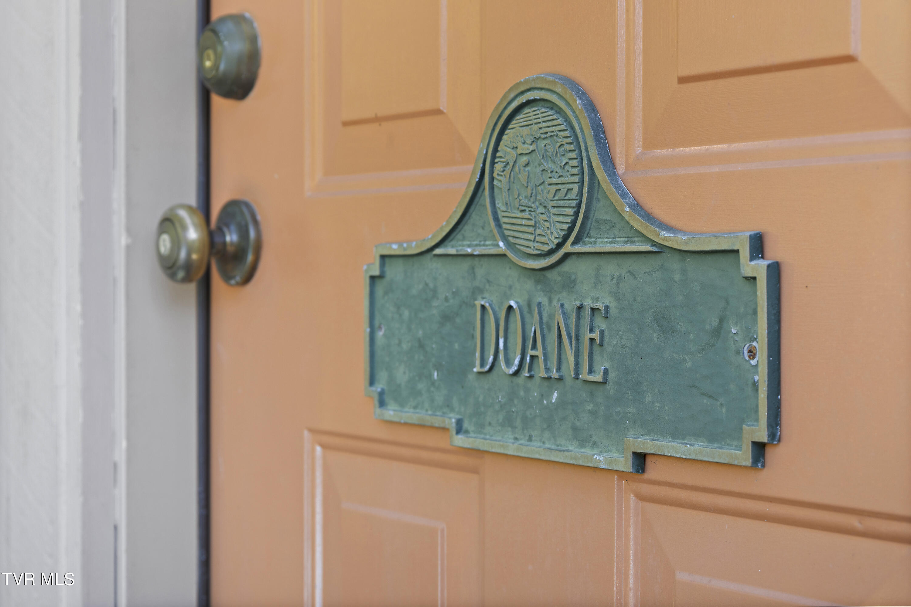 142 Jim Range Road Jonesborough, TN 37659 - Photo 20 of 99 128A6209