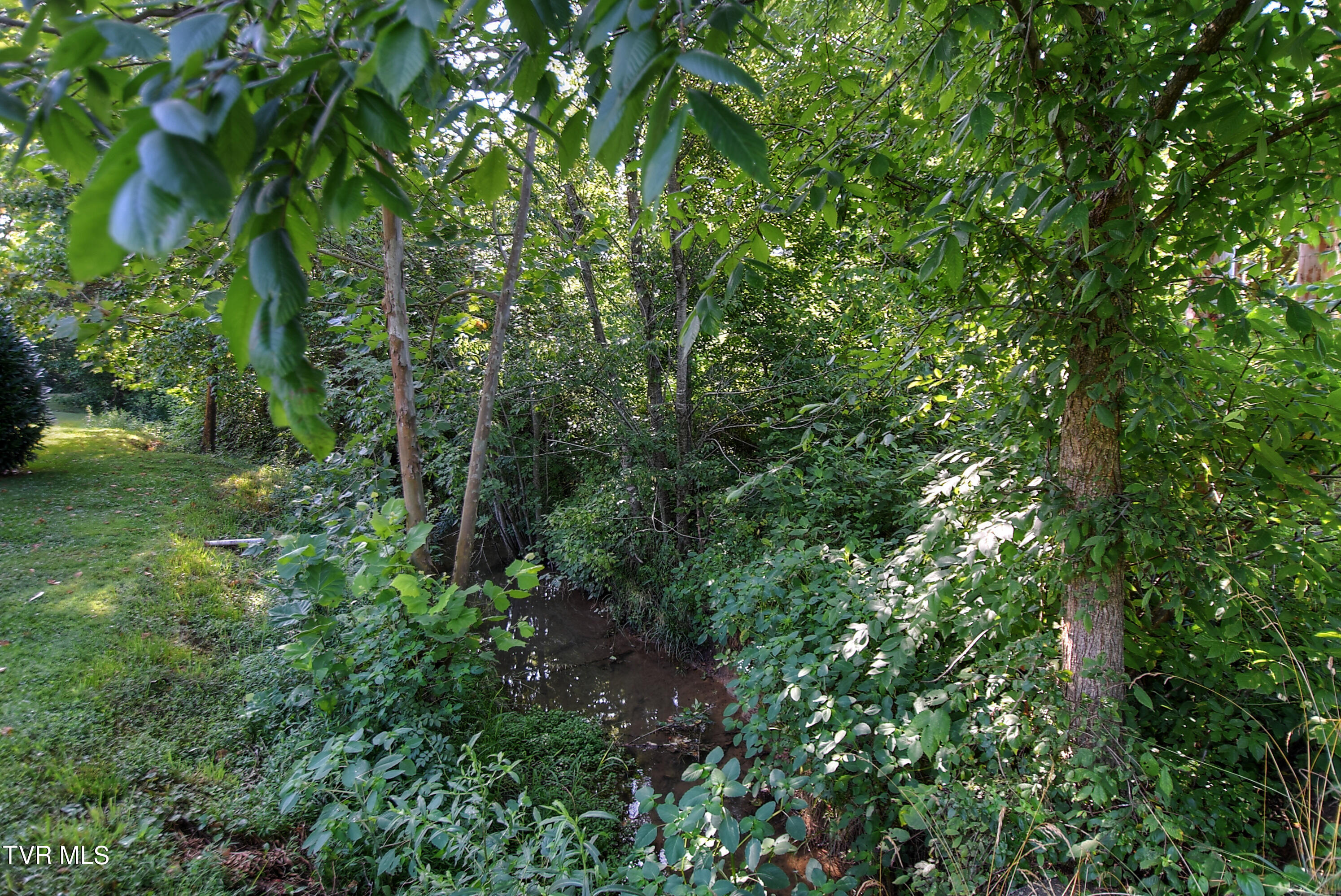 142 Jim Range Road Jonesborough, TN 37659 - Photo 93 of 99 DSC_0193_4_5_6_7_8