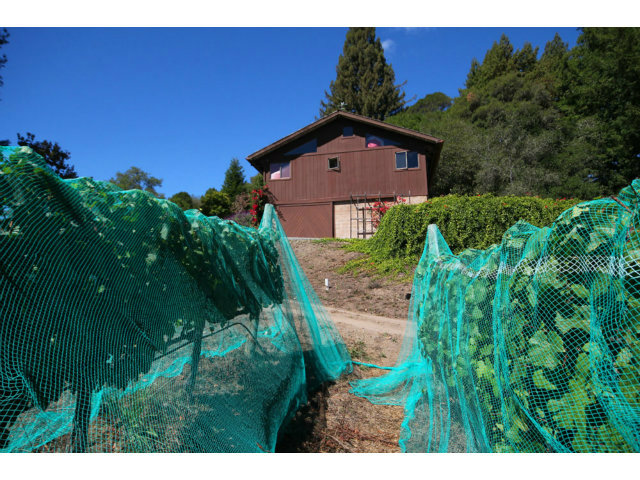 800 Larsen Road Aptos, CA 95003 - Photo 20 of 24 Gallery Image 20