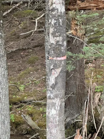 $175,000 | 0 Braintree Hill Road, Braintree, VT 05060