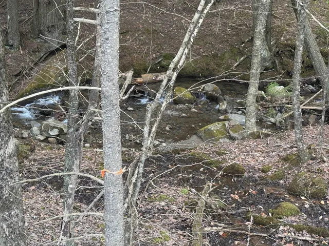 $175,000 | 0 Braintree Hill Road, Braintree, VT 05060