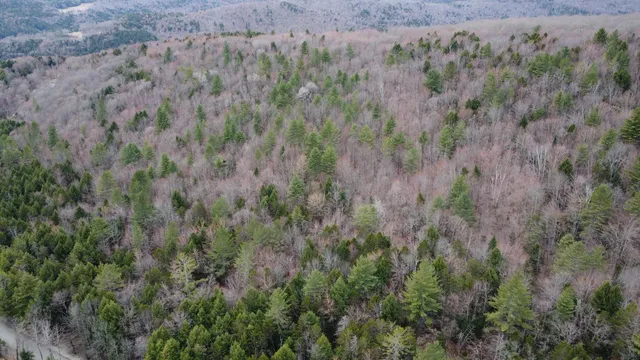 $175,000 | 0 Braintree Hill Road, Braintree, VT 05060