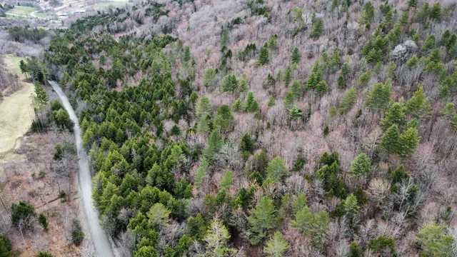 $175,000 | 0 Braintree Hill Road, Braintree, VT 05060