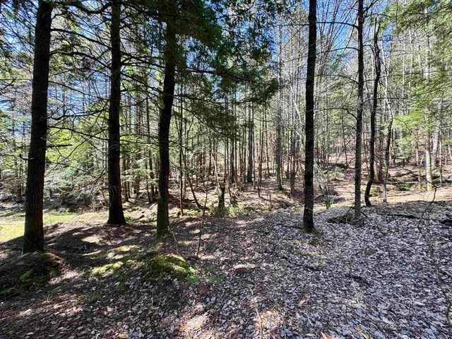 $175,000 | 0 Braintree Hill Road, Braintree, VT 05060