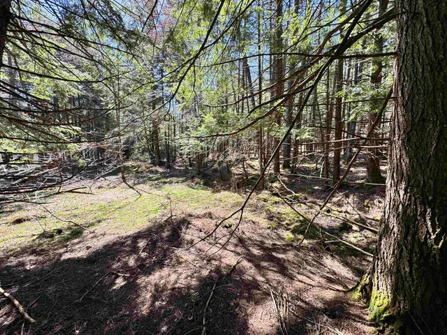 $175,000 | 0 Braintree Hill Road, Braintree, VT 05060