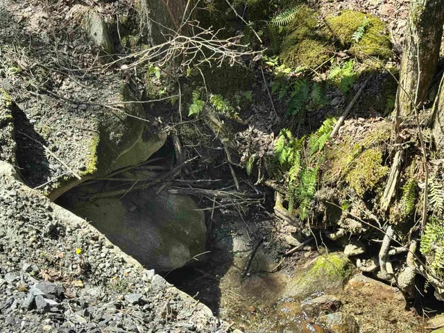 $175,000 | 0 Braintree Hill Road, Braintree, VT 05060