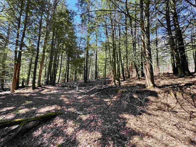 $175,000 | 0 Braintree Hill Road, Braintree, VT 05060