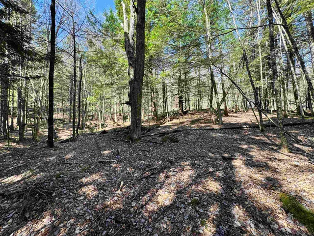 $175,000 | 0 Braintree Hill Road, Braintree, VT 05060