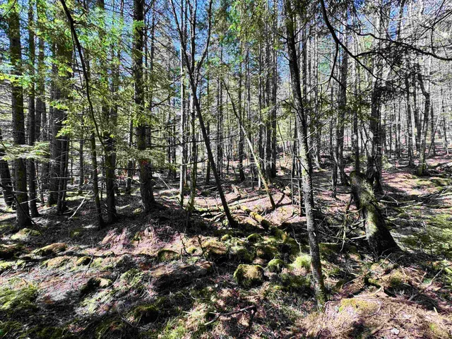 $175,000 | 0 Braintree Hill Road, Braintree, VT 05060