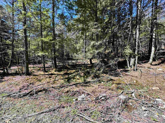 $175,000 | 0 Braintree Hill Road, Braintree, VT 05060