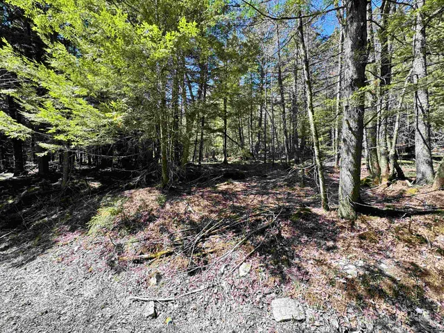 $175,000 | 0 Braintree Hill Road, Braintree, VT 05060
