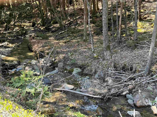 $175,000 | 0 Braintree Hill Road, Braintree, VT 05060