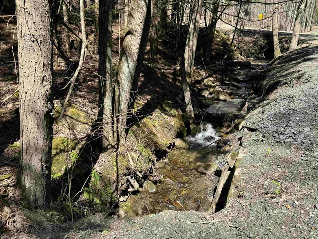 $175,000 | 0 Braintree Hill Road, Braintree, VT 05060