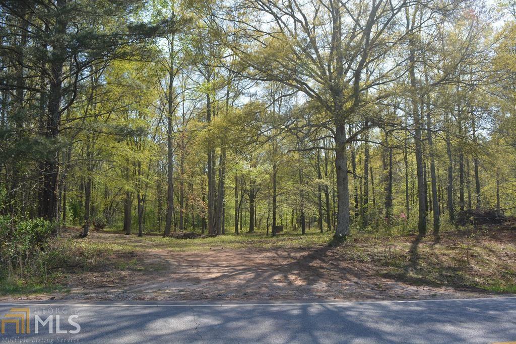 640 Bonner Goldmine Road Roopville, GA 30170 - Photo 1 of 1