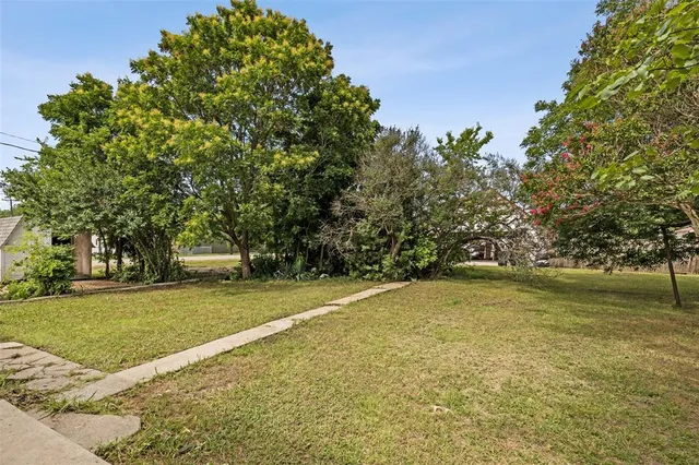 a view of a trees in a yard