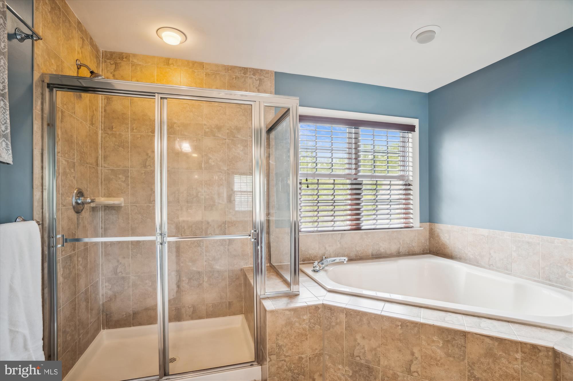 3209 Menia Street Riva, MD 21140 - Photo 40 of 66 Primary Bath