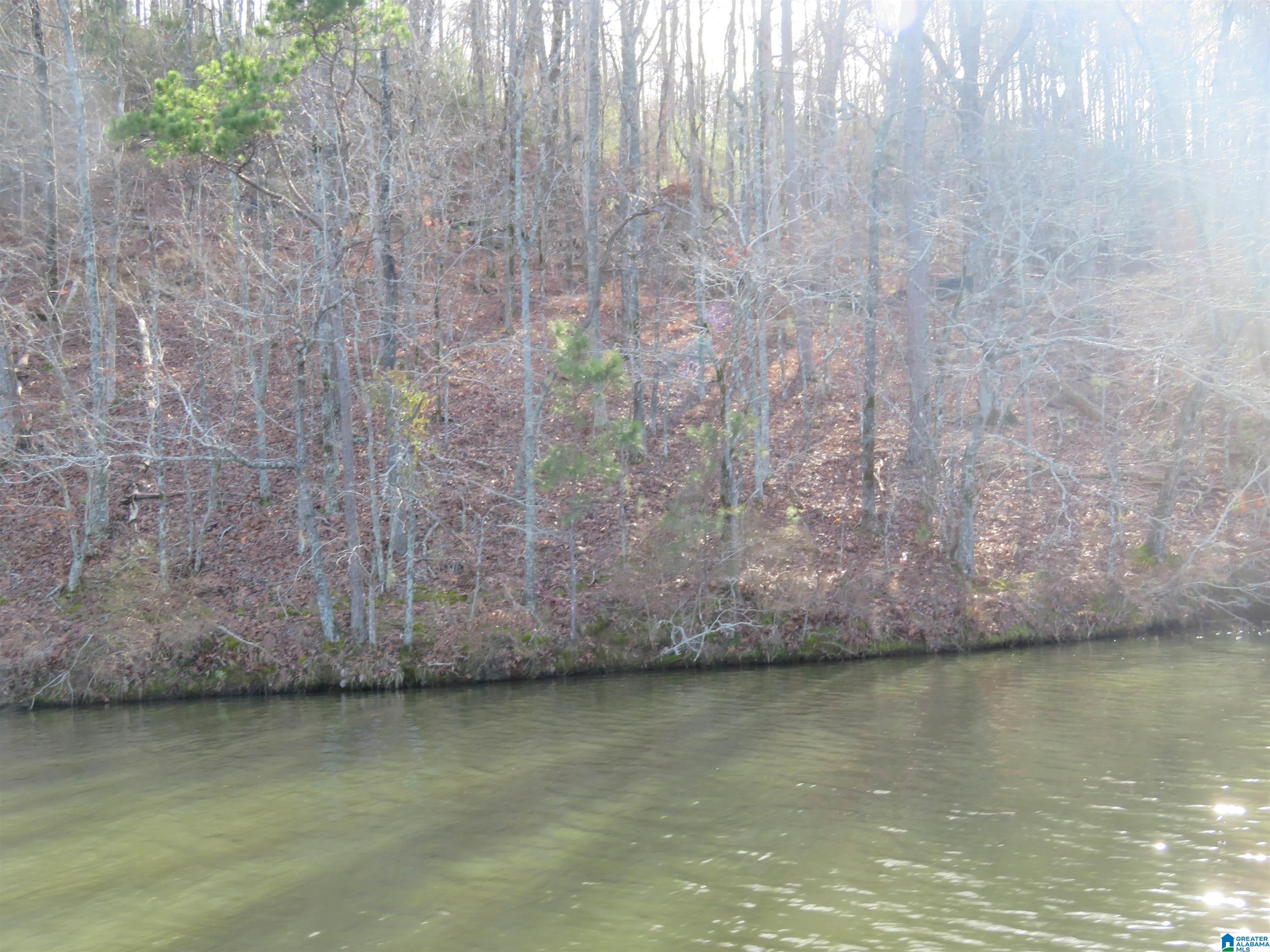 Lot 7 Eagle Mountain Road, Unit 7 Alexander City, AL 35010 - Photo 2 of 2 Gallery Image 2