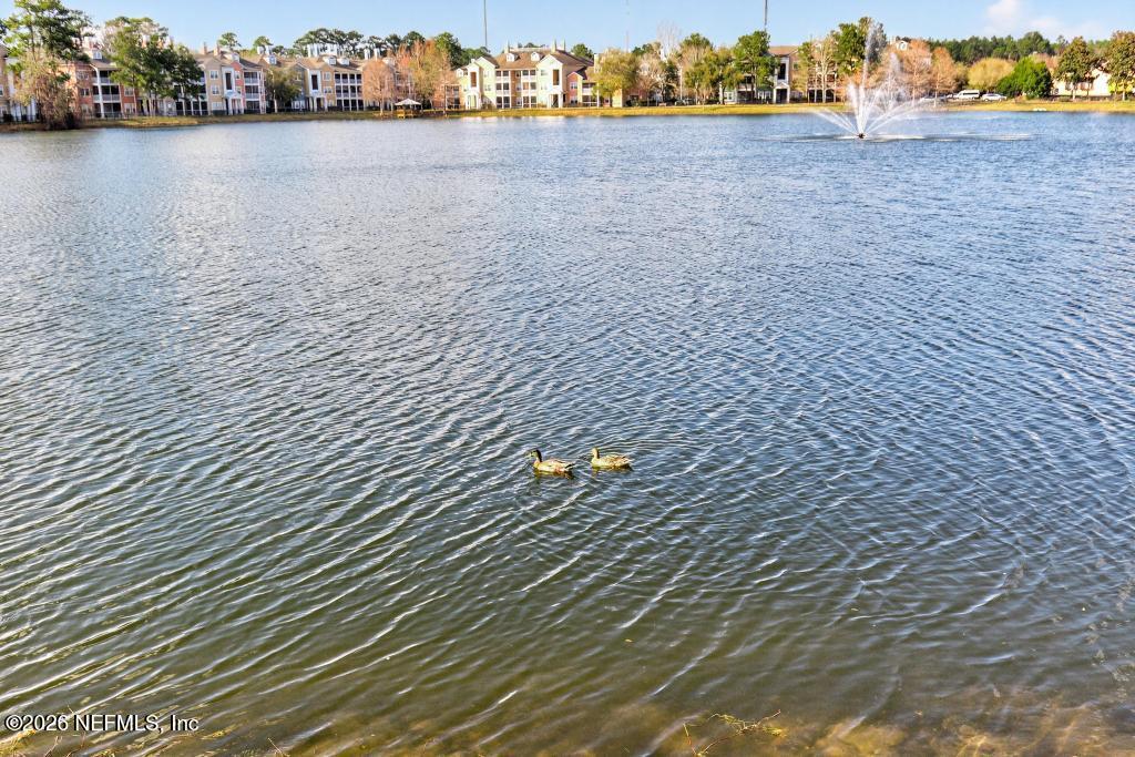 8550 Touchton Road, Unit 2221 Jacksonville, FL 32216 - Photo 44 of 53 a bathroom with a shower