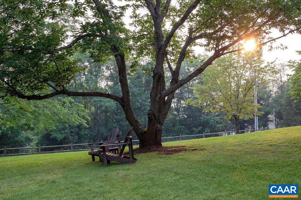 2903 Pea Ridge Road Charlottesville, VA 22901 - Photo 36 of 37 a view of a park with large trees