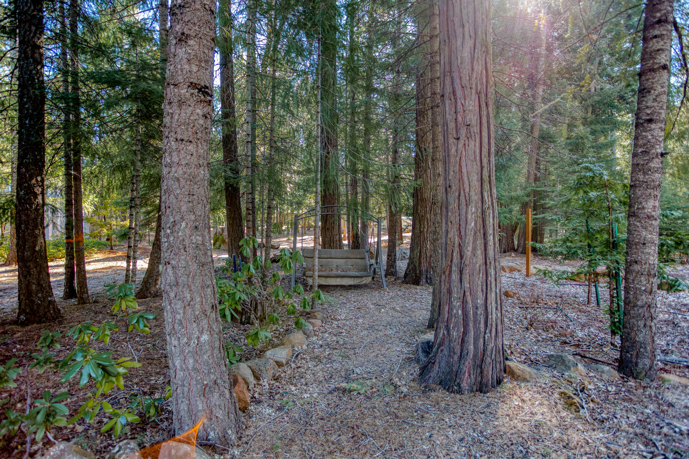 7551 Red Eagle Road Shingletown, CA 96088 - Photo 10 of 28 Have a marshmallow roast