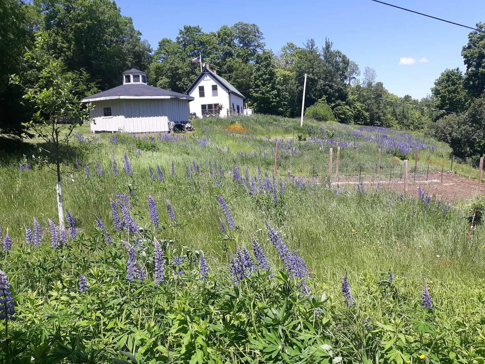 32 Holman Road Rangeley, ME 04970 - Photo 1 of 41 IMG_8648