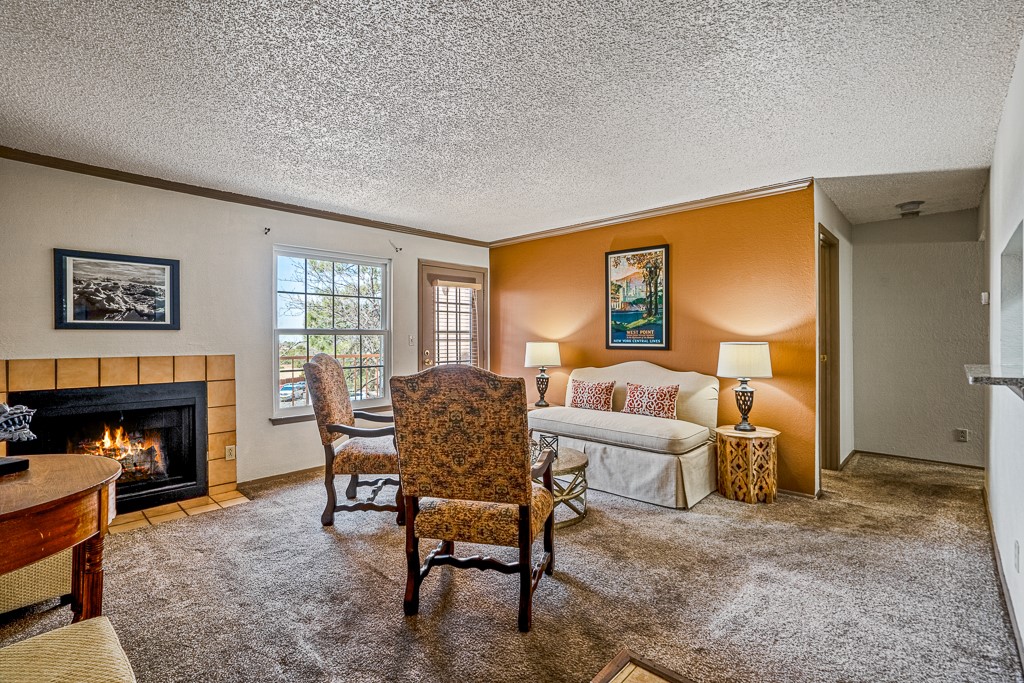 Cozy living room with wood burning fireplace
