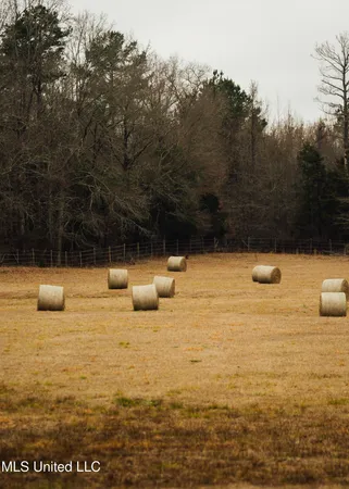 $1,395,000 | 3111 Attala Road 4114, Sallis, MS 39160