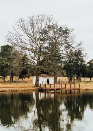 $1,395,000 | 3111 Attala Road 4114, Sallis, MS 39160