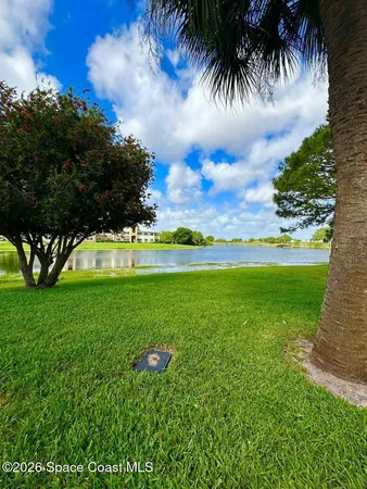 a view of a trees with a big yard