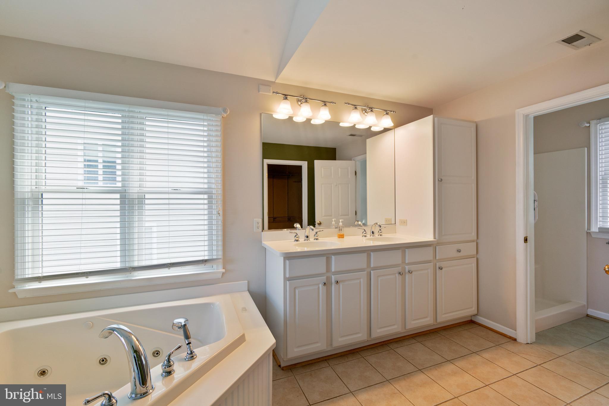 153 Allegany Road Stevensville, MD 21666 - Photo 16 of 46 Primary Bathroom