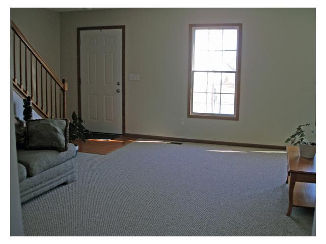 333 Rainswept Drive Galloway, OH 43119 - Photo 3 of 23