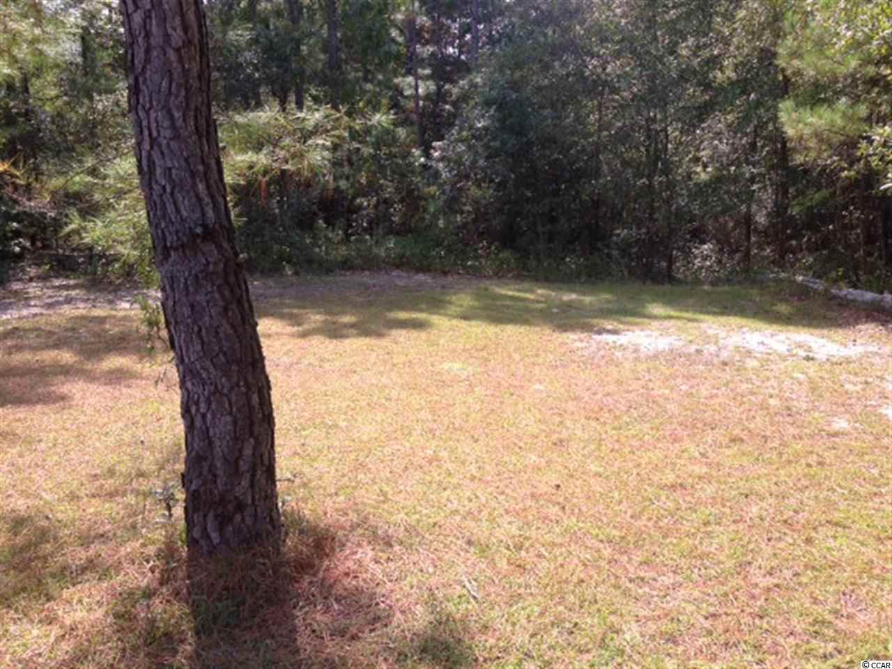 2525 Smiley Lane Conway, SC 29526 - Photo 12 of 15 Gallery Image 12
